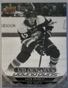 Gavin Brindley [Black White] #C-96
