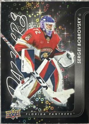 Sergei Bobrovsky [Black] #DZ-17