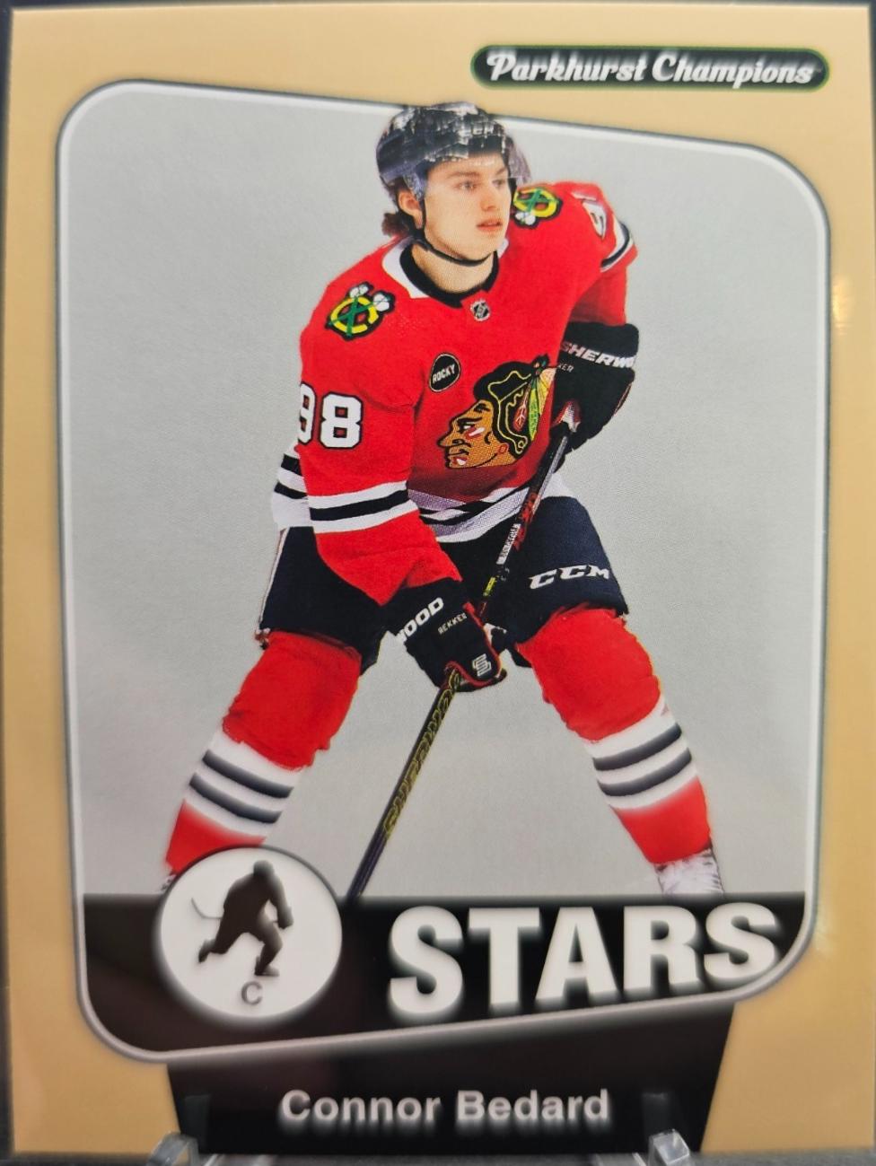 Connor Bedard [Stars Jersey] #206