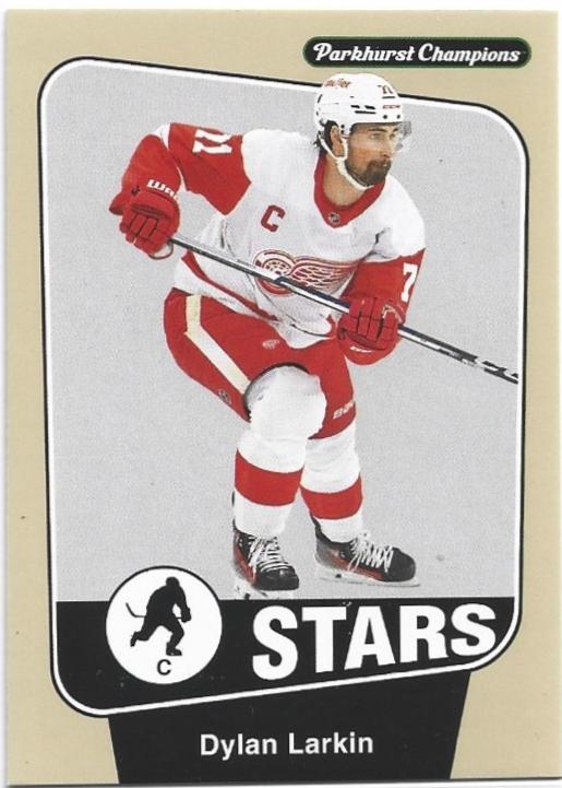 Dylan Larkin #228