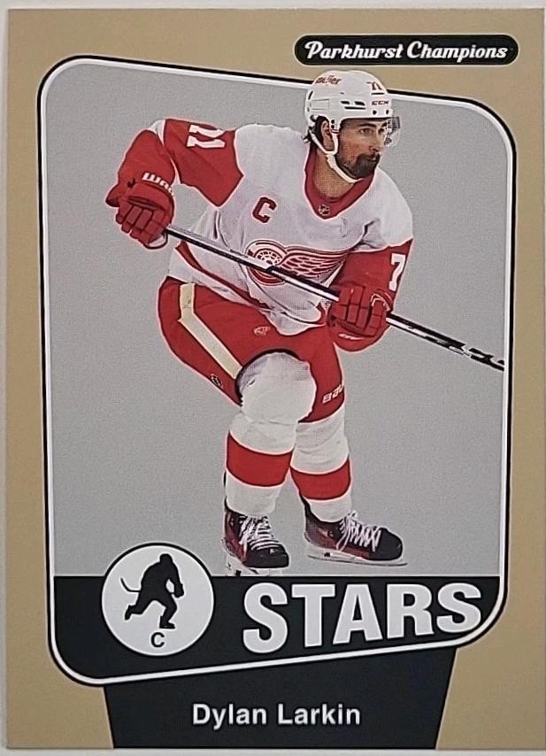 Dylan Larkin [Stars Jersey] #228