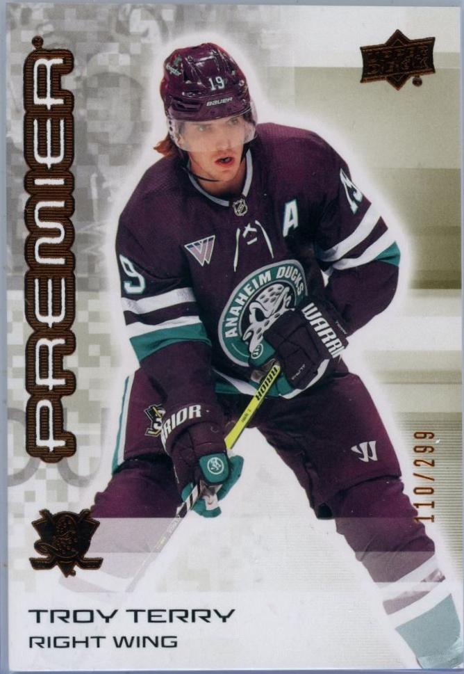 Troy Terry #19