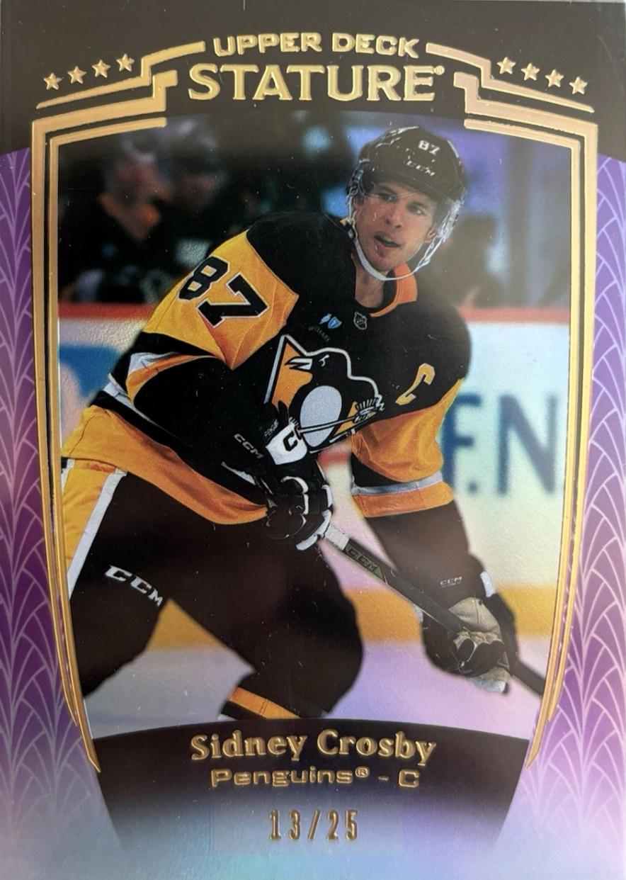 Sidney Crosby [Purple] #21