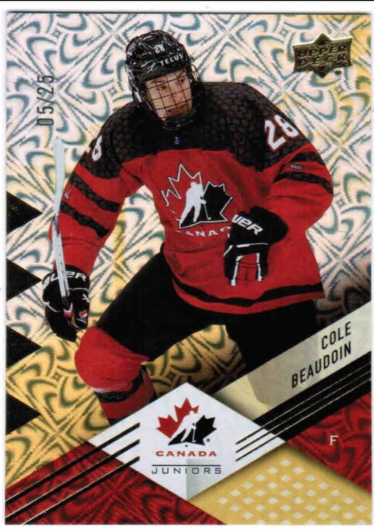 Cole Beaudoin [Gold Patterned Foilboard] #34