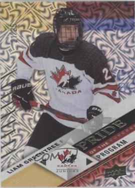 Liam Greentree [Gold Patterned Foilboard] #98