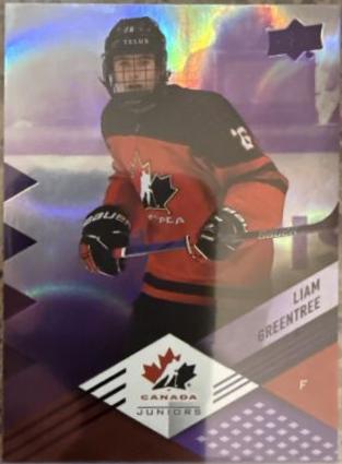 Liam Greentree [Red Foil] #24