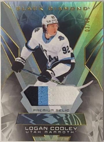 Logan Cooley [Premium Relic] #BDB-CO