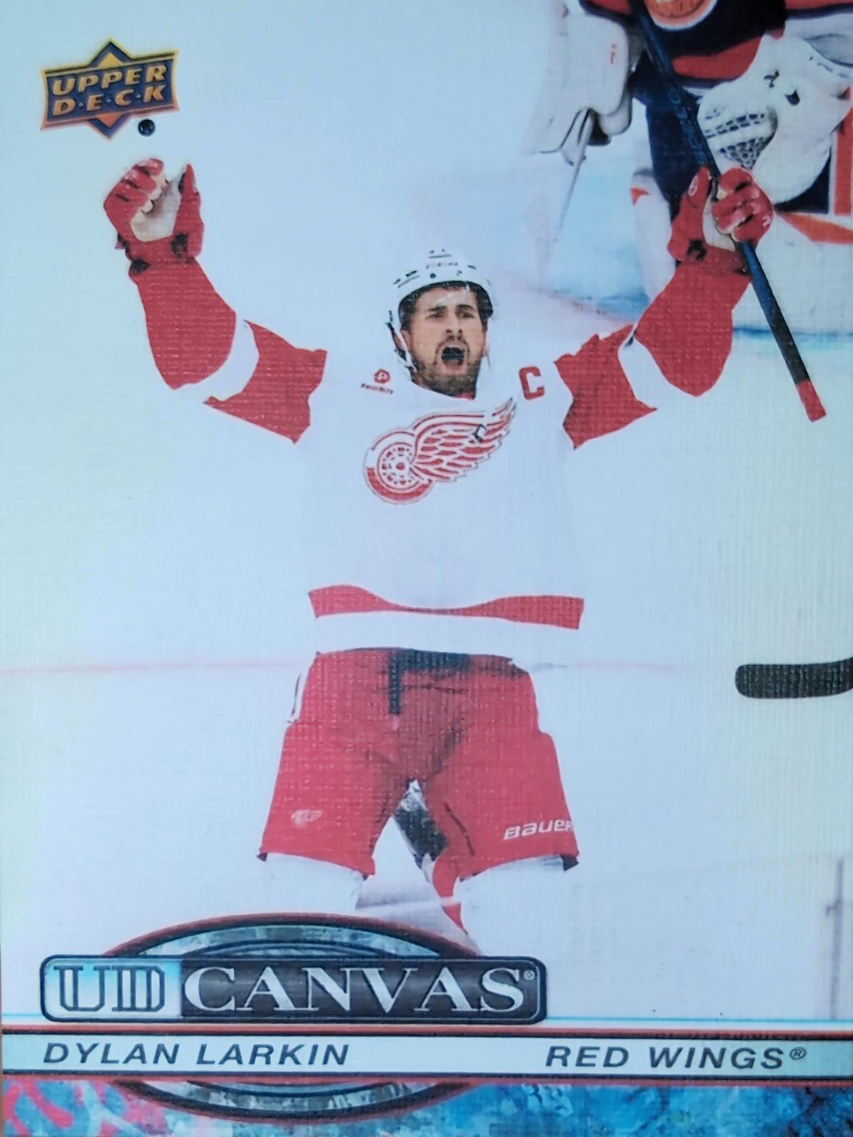 Dylan Larkin #C-44