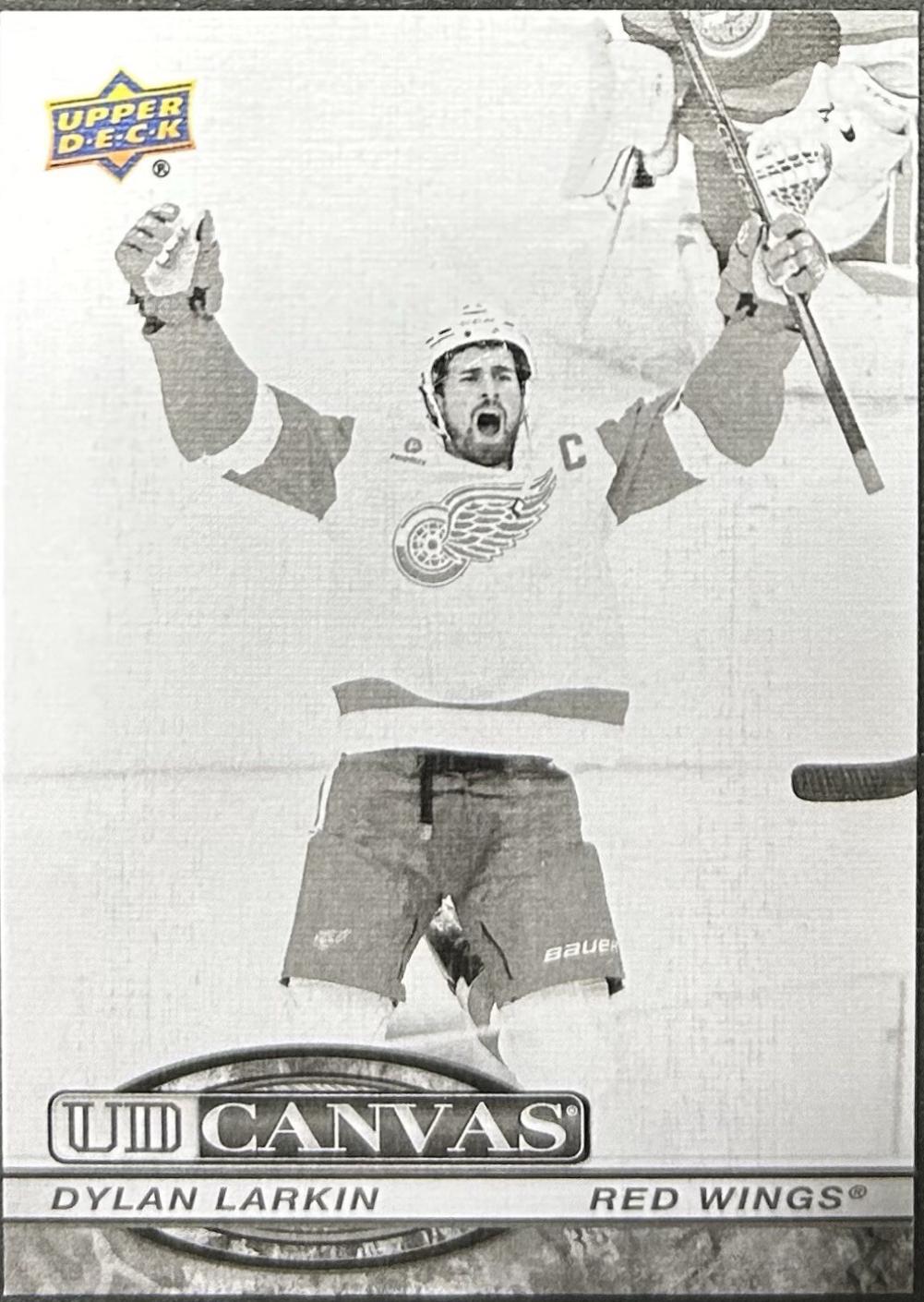 Dylan Larkin [Black White] #C-44
