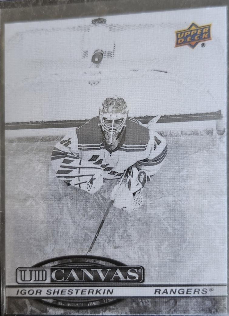 Igor Shesterkin [Black White] #C-50