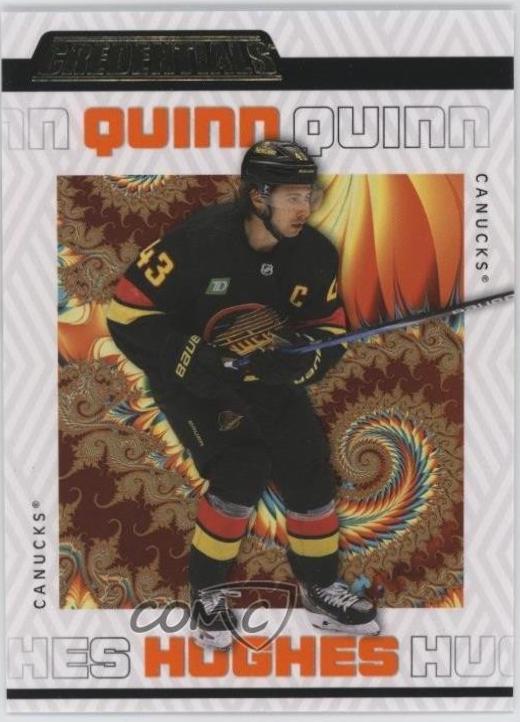 Quinn Hughes [Mandelbrot Fractal] #91