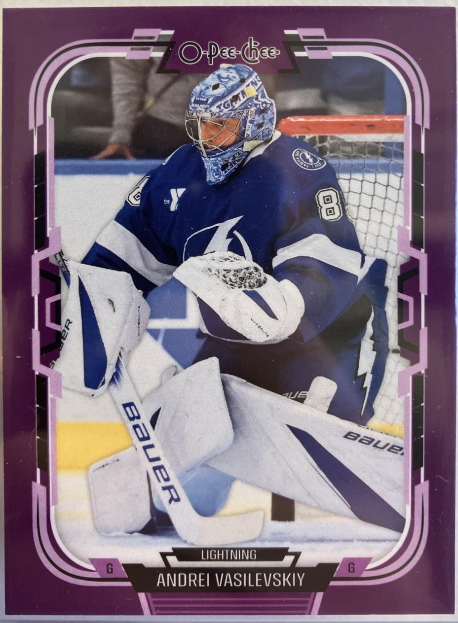 Andrei Vasilevskiy [Purple Border] #360