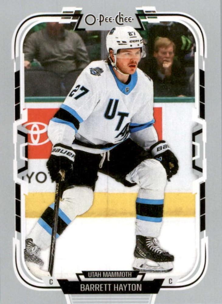 Barrett Hayton #355