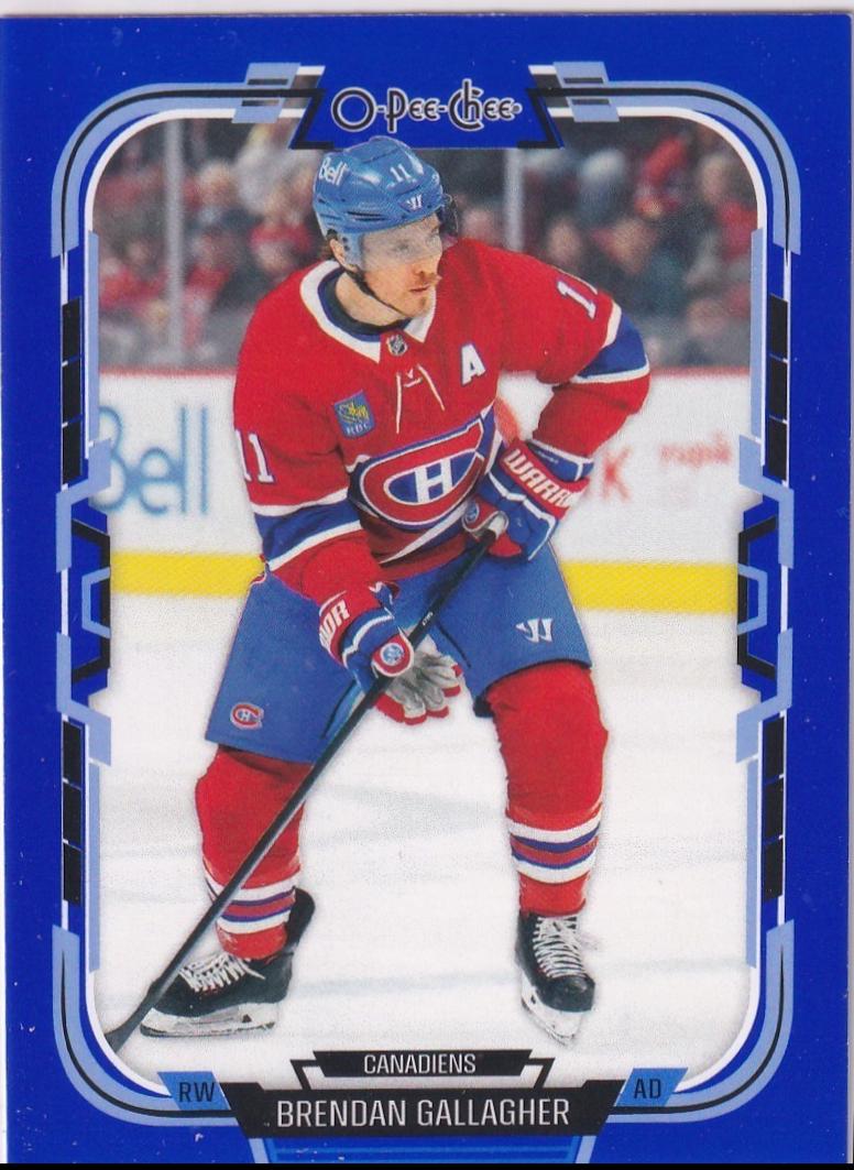 Brendan Gallagher [Blue Border] #188