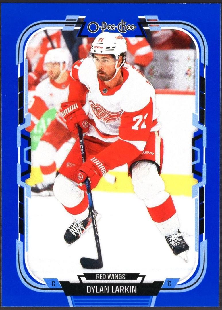 Dylan Larkin [Blue Border] #272