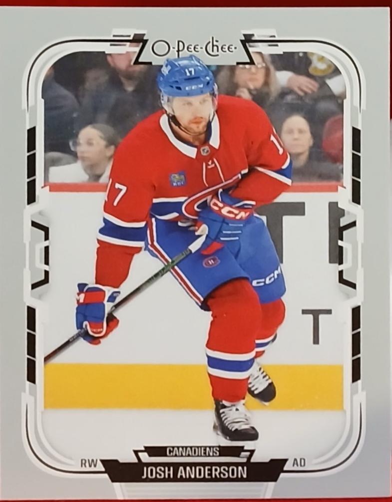 Josh Anderson #273