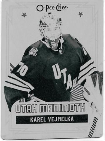 Karel Vejmelka [Printing Plate] #90
