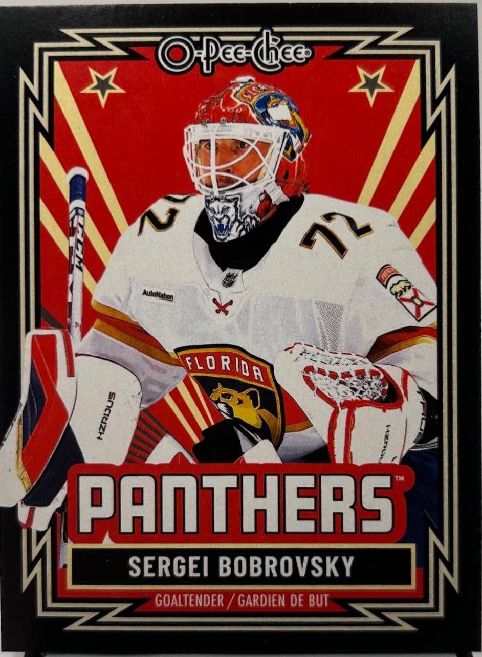 Sergei Bobrovsky [Retro Black Border] #267