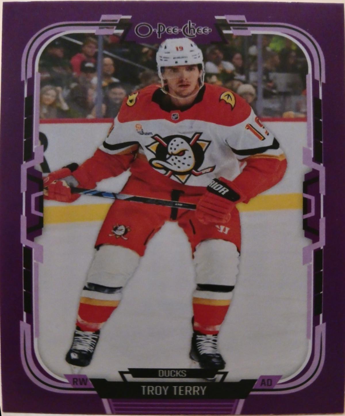 Troy Terry [Purple Border] #11