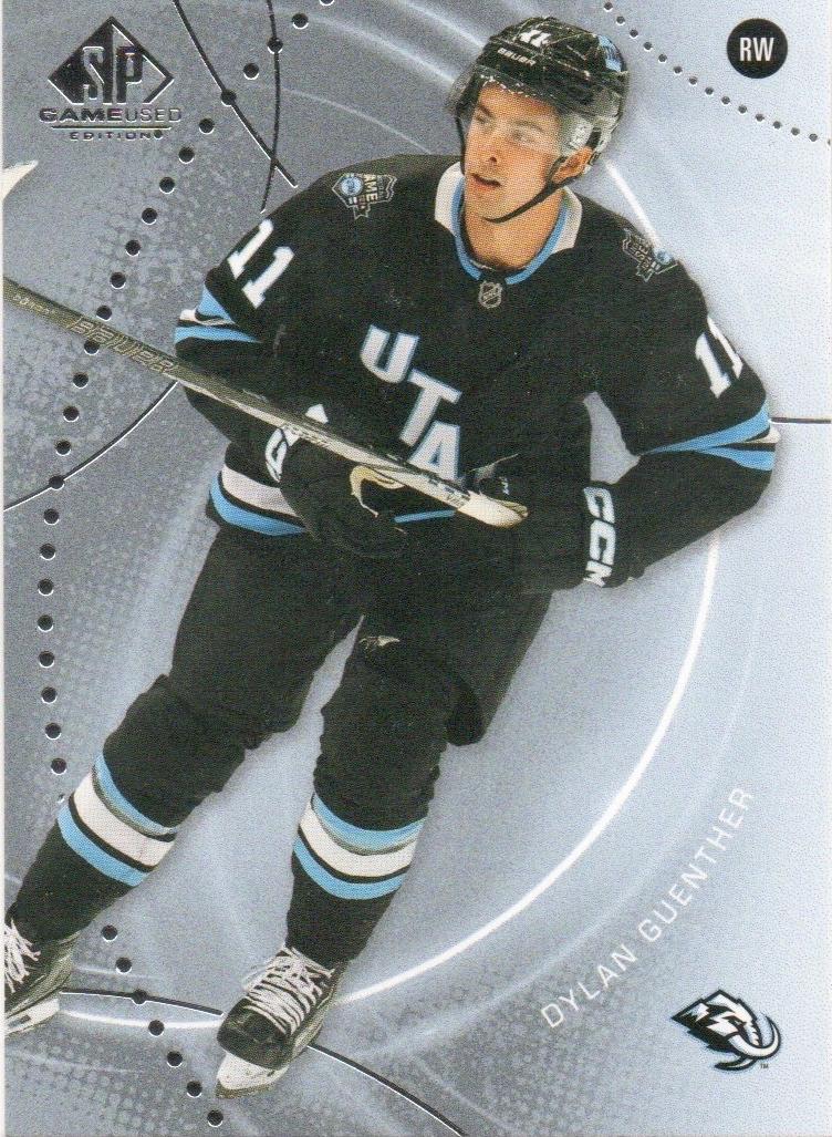Dylan Guenther #113