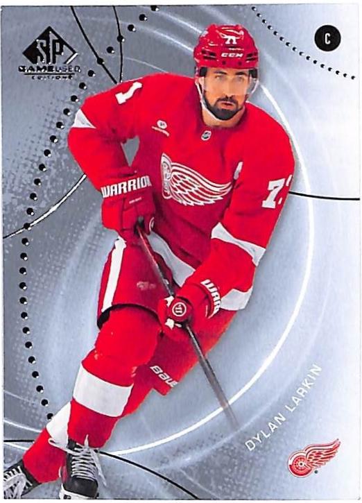 Dylan Larkin #195