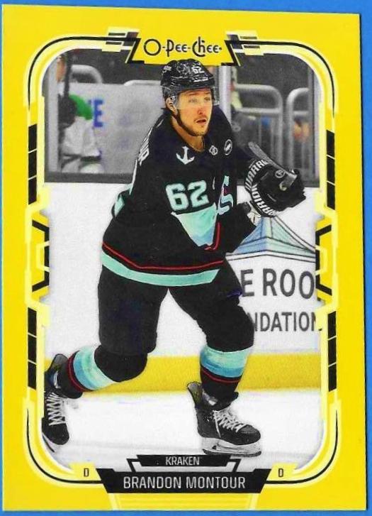 Brandon Montour [Yellow Border] #364