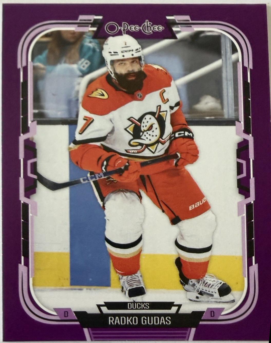 Radko Gudas [Purple Border] #206