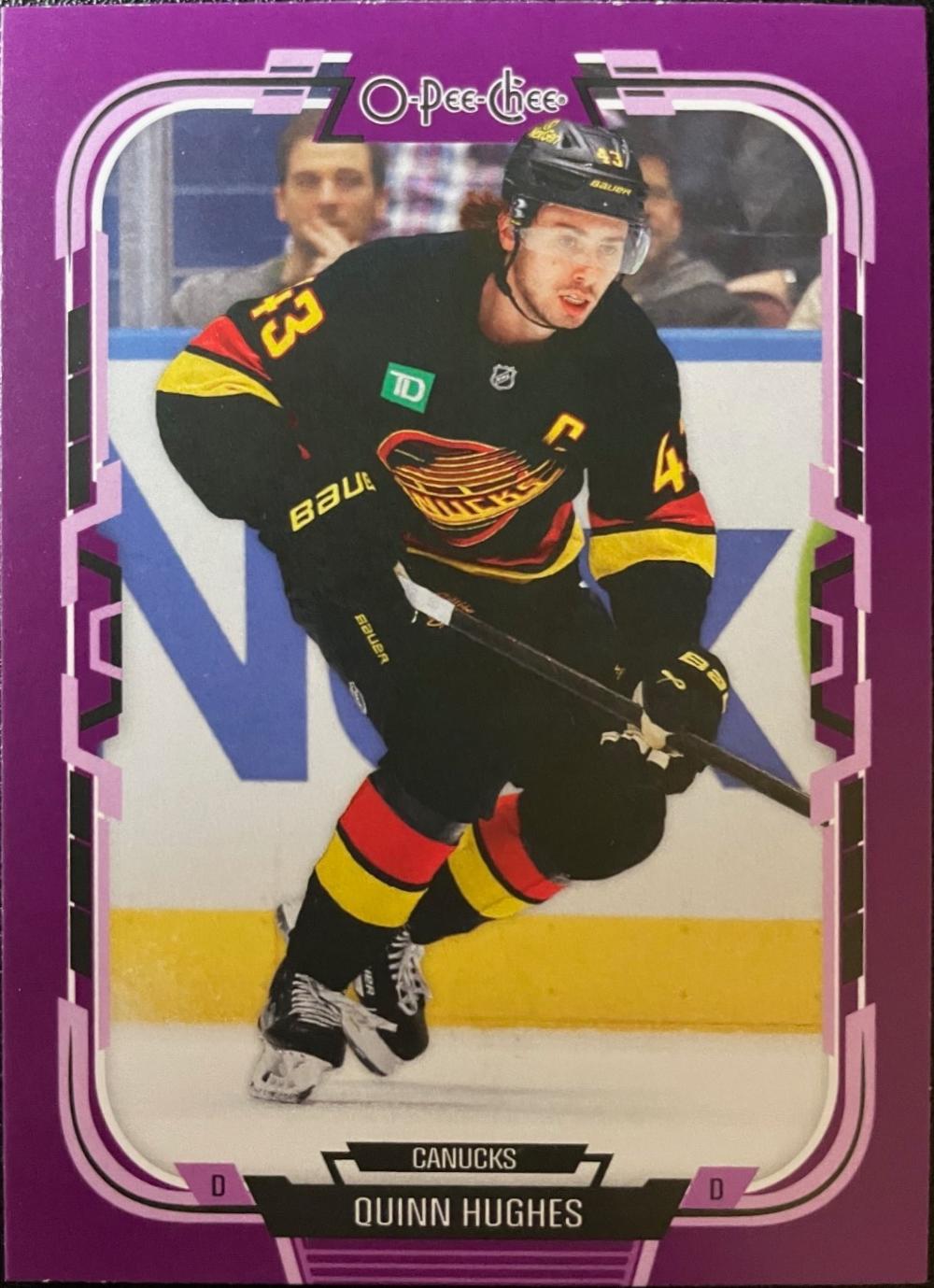 Quinn Hughes [Purple Border] #285