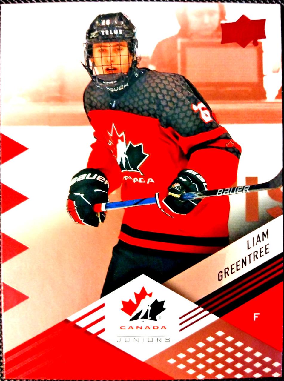 Liam Greentree [Rose Gold Foil] #24
