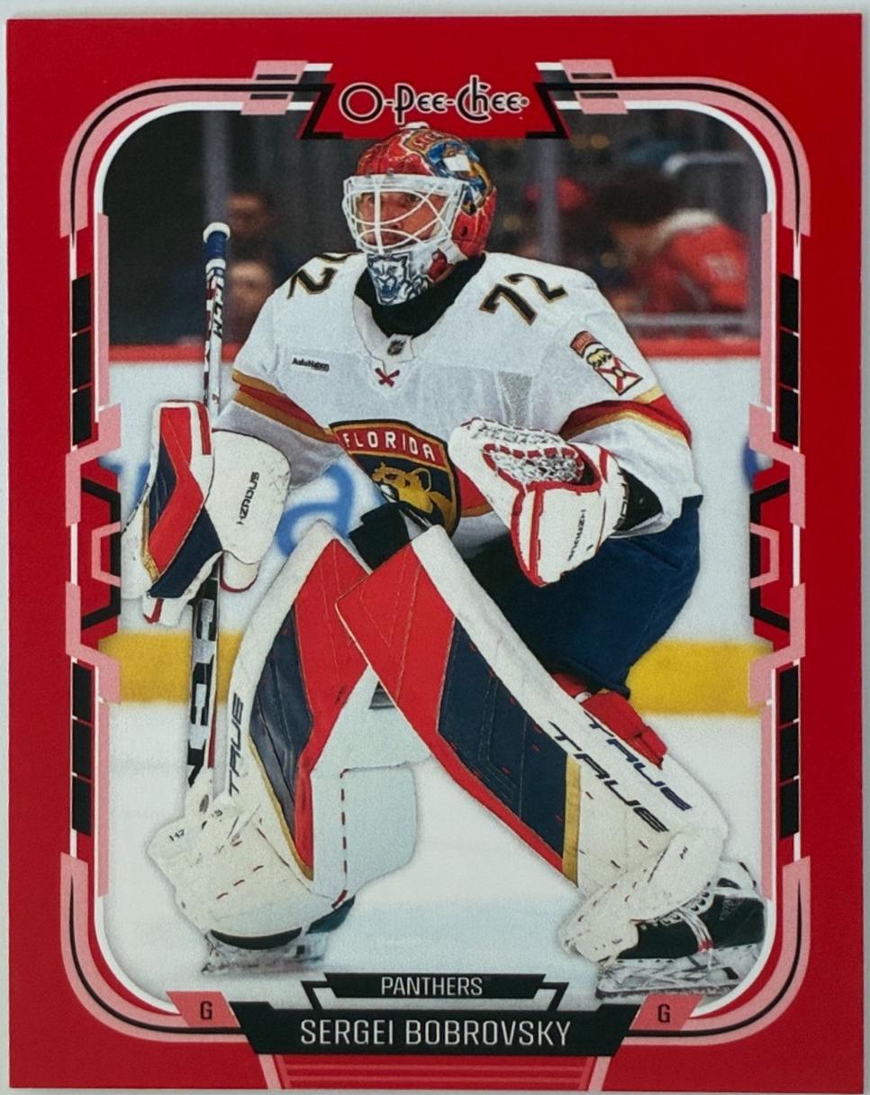 Sergei Bobrovsky [Red Border] #267