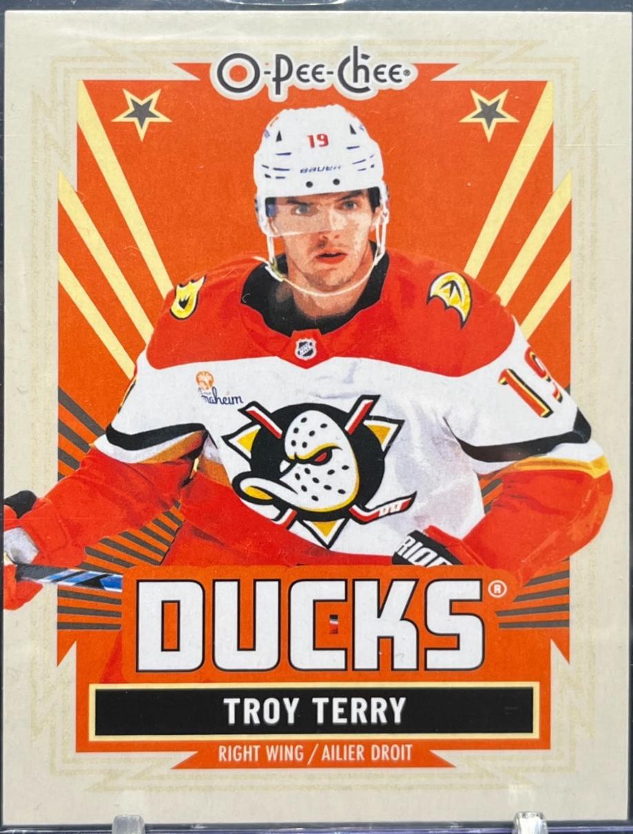 Troy Terry [Retro Blank Back] #11