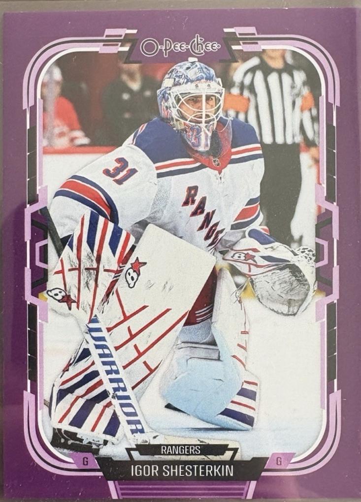 Igor Shesterkin [Purple Border] #143