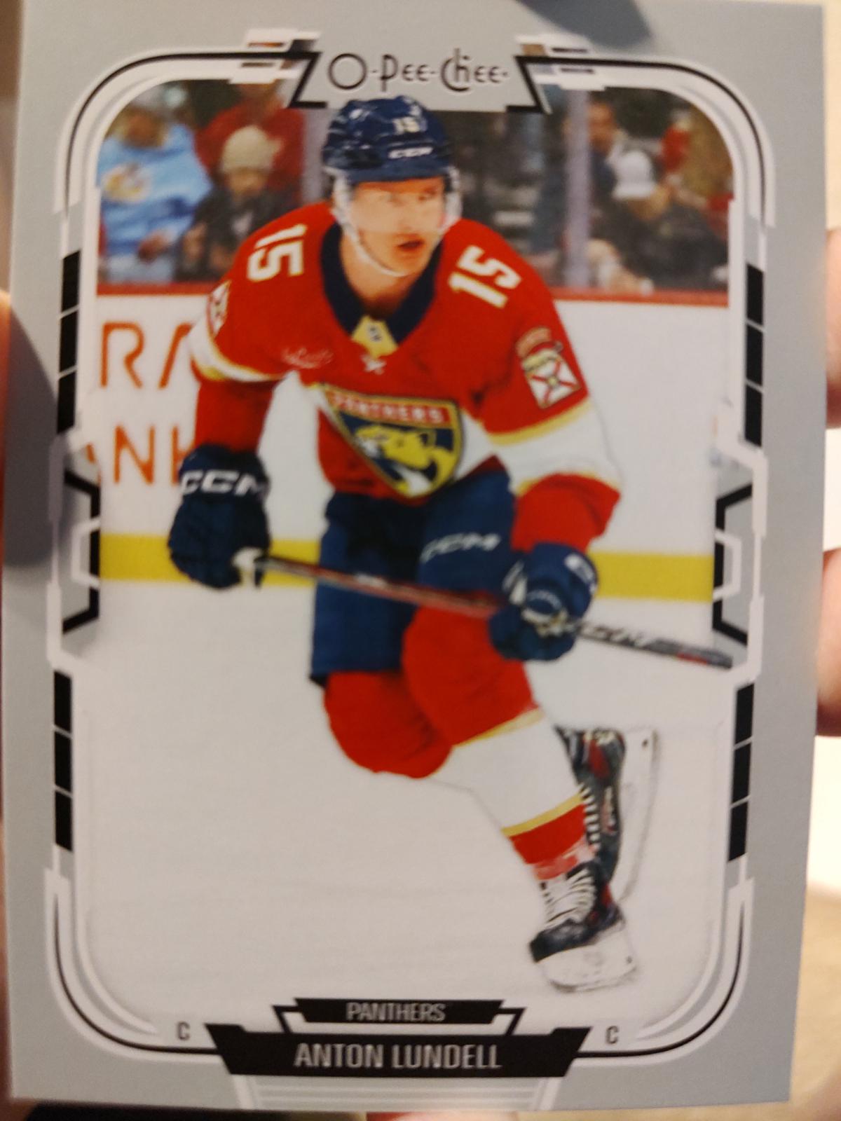 Anton Lundell #102