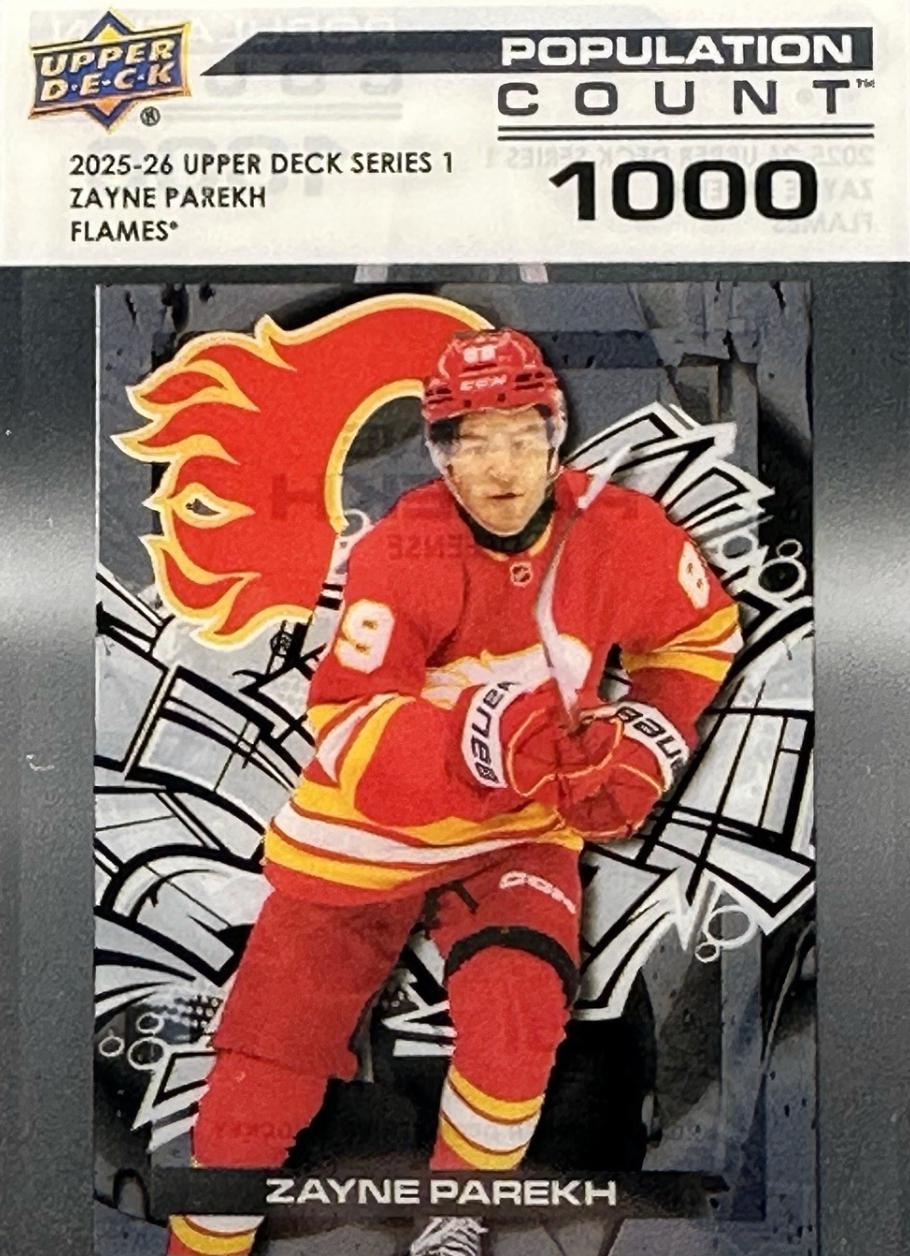 Zayne Parekh #PC-3
