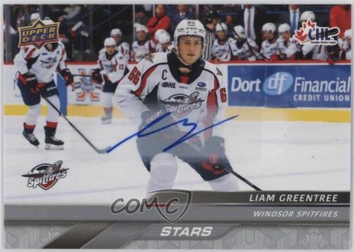 Liam Greentree [Autograph] #318