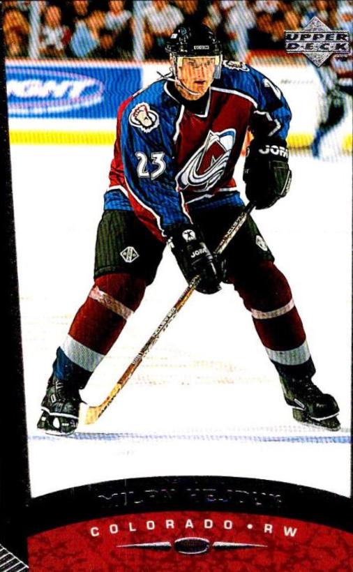 Milan Hejduk #247