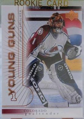 David Aebischer #433