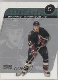 Branko Radivojevic #219