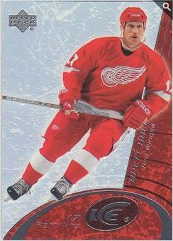 Brett Hull #29