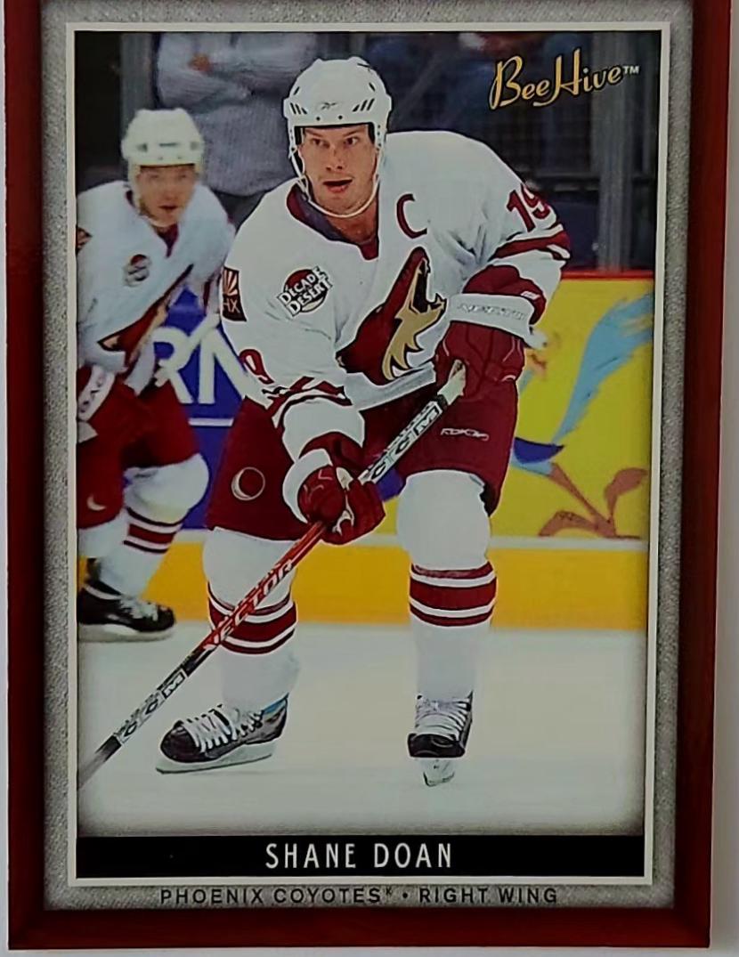 Shane Doan #23