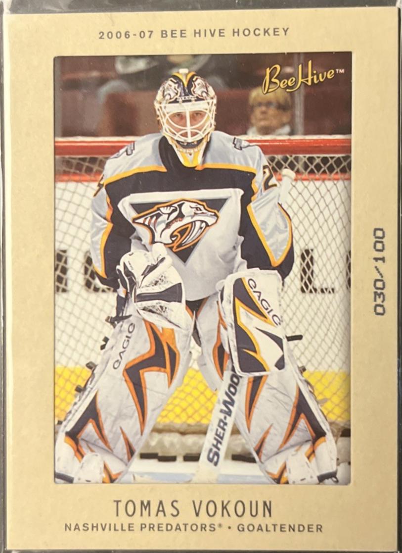 Tomas Vokoun [Matte] #45