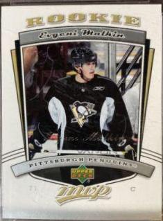 Evgeni Malkin #303