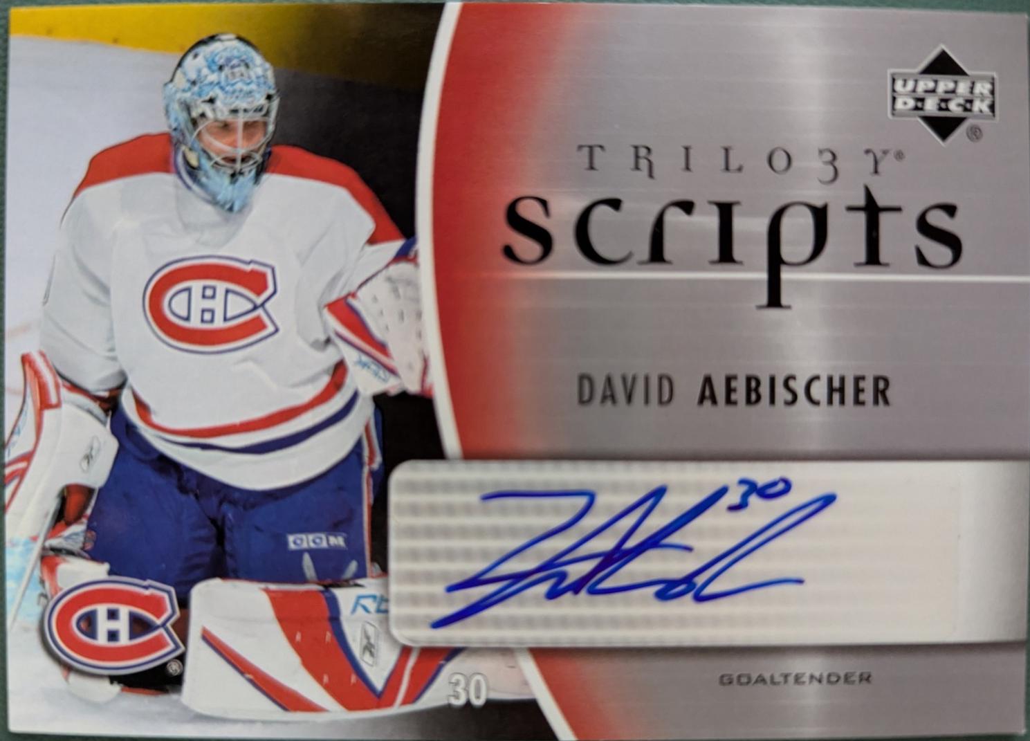 David Aebischer #TS-DA