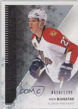 Nick Bjugstad #252