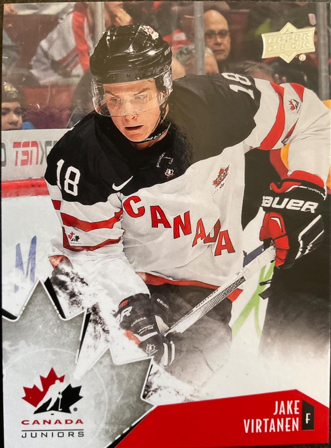Jake Virtanen #84