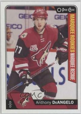 Anthony DeAngelo #699
