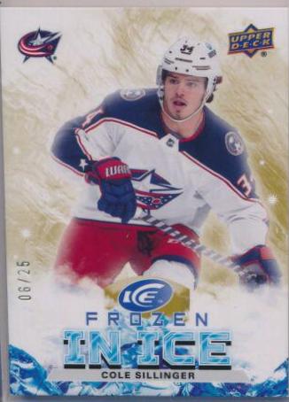 Cole Sillinger [Gold] #FI-39