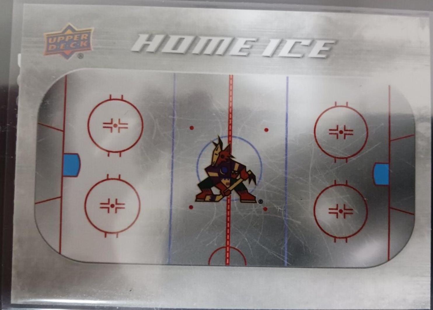 Arizona Coyotes #HI-2