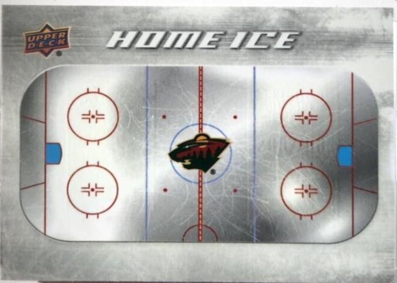 Minnesota Wild #HI-15