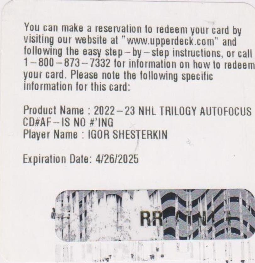 Igor Shesterkin #AF-IS